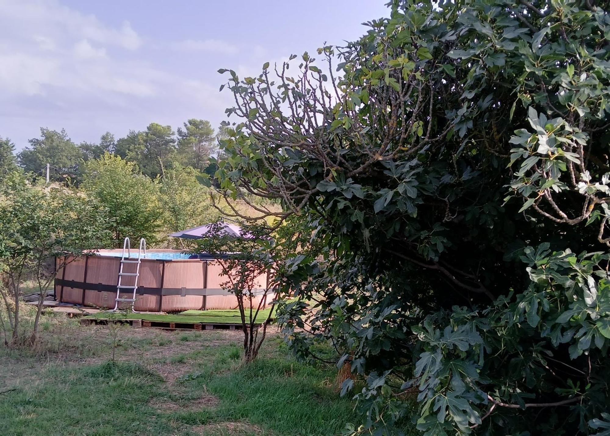 Villa Des Arnoux Dans La Vigne Draguignan Eksteriør billede